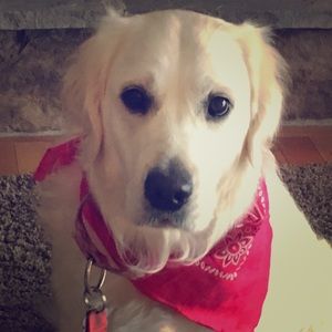 Meet your Posher, Judi